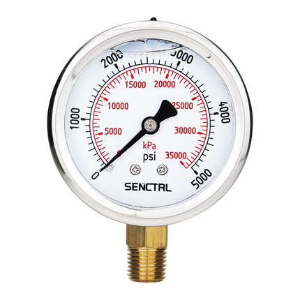 Manometro Per Pressione 2-1/2 Pollici, Custodia Acciaio Cromato, 1/4NPT Manometro Per Pressione 2-1/2 Pollici, Custodia Acciaio Cromato, 1/4NPT